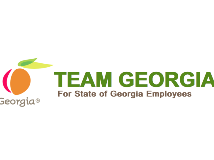 Team Georgia Logo